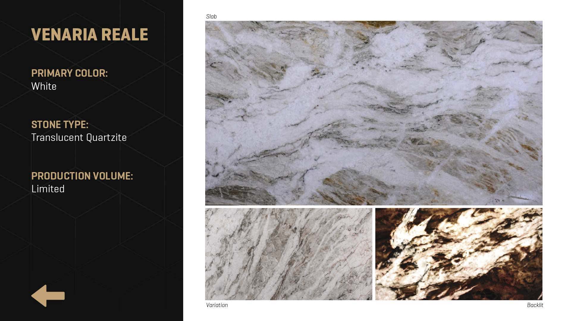 Stone Design - Quartzite - Venaria Reale - CLEARANCE